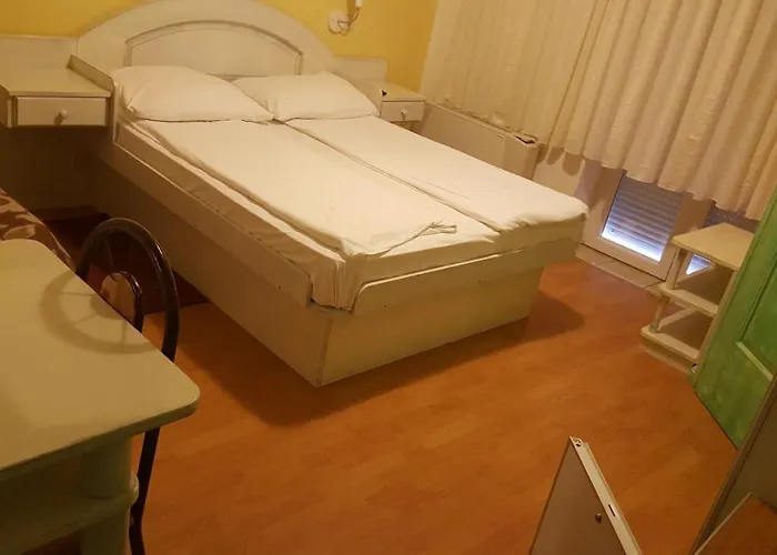 Pansion Dragica *